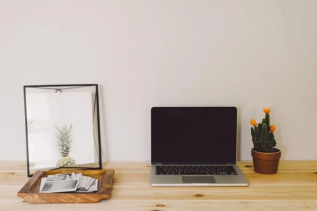 Les avantages du télétravail pour les professionnels de l'informatique