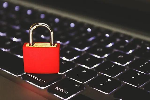 Comment sécuriser efficacement vos données personnelles en ligne