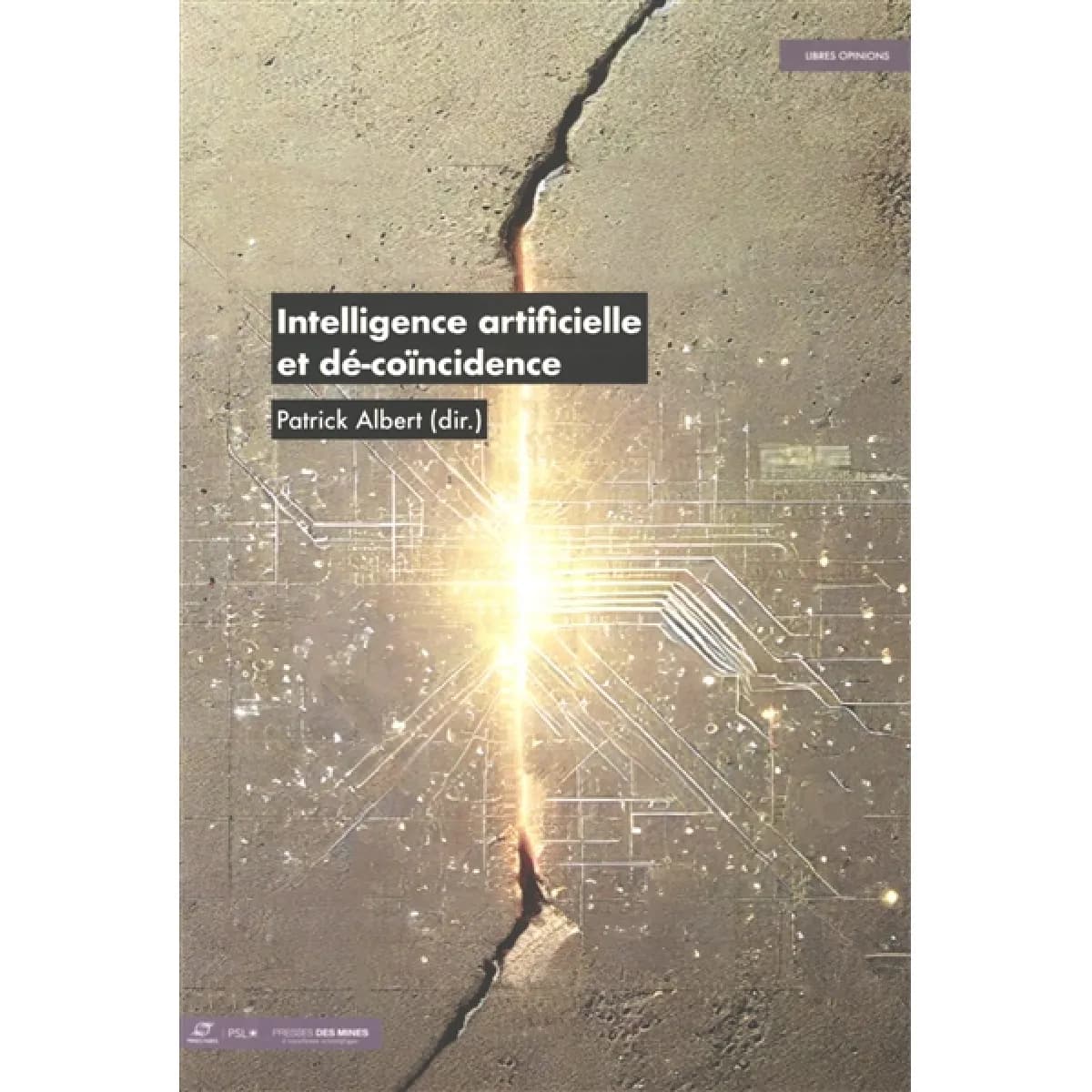 Intelligence artificielle et dé-coïncidence
